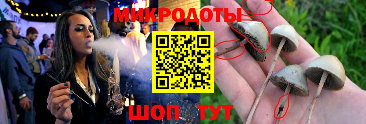 Псилоцибиновые грибы мухоморы  Вход с VPN  Коломна 